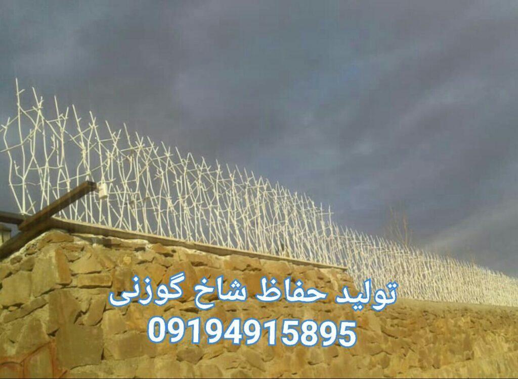 حفاظ شاخ گوزنی